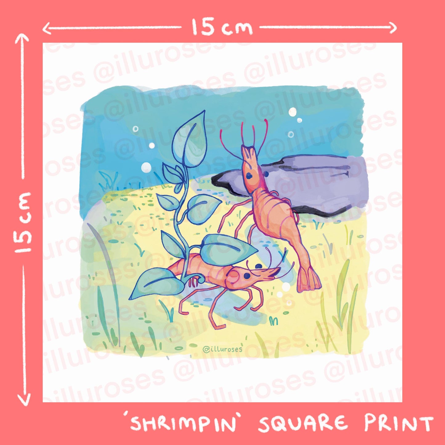 Original Silly Shrimp Art Print | A5 Square Print