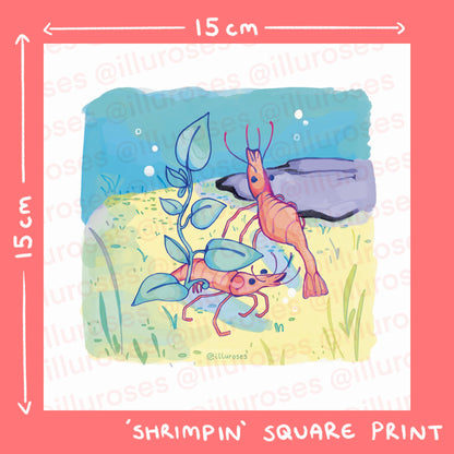Original Silly Shrimp Art Print | A5 Square Print