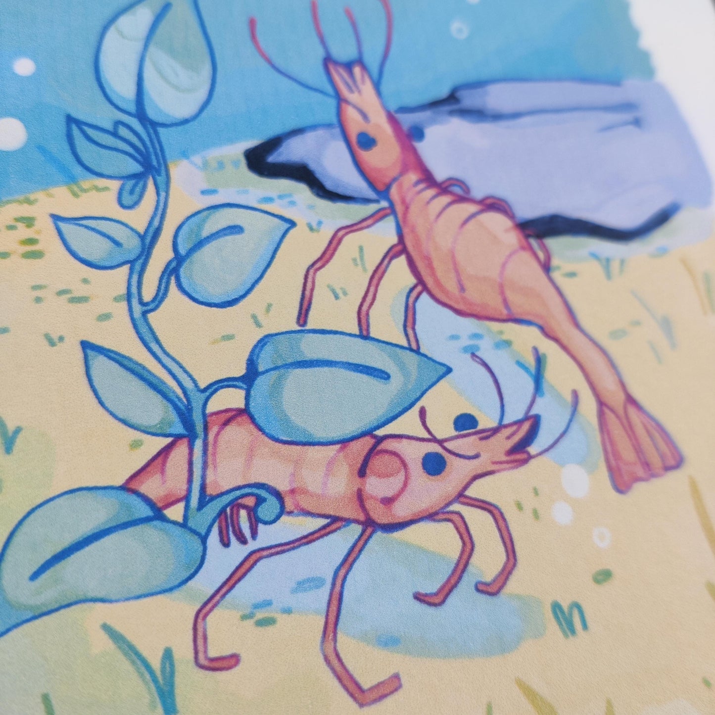 Original Silly Shrimp Art Print | A5 Square Print