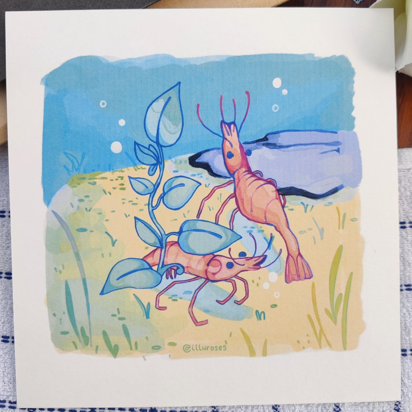 Original Silly Shrimp Art Print | A5 Square Print