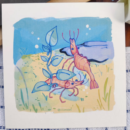 Original Silly Shrimp Art Print | A5 Square Print