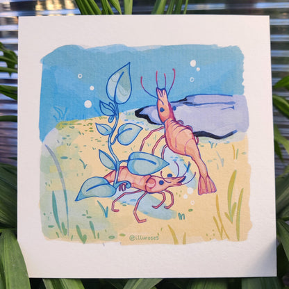 Original Silly Shrimp Art Print | A5 Square Print
