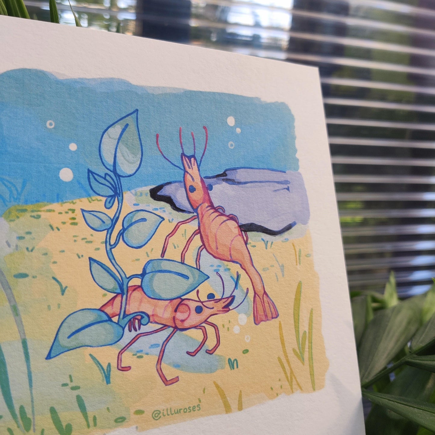 Original Silly Shrimp Art Print | A5 Square Print