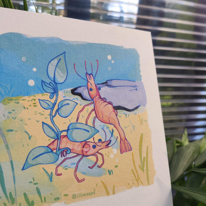 Original Silly Shrimp Art Print | A5 Square Print